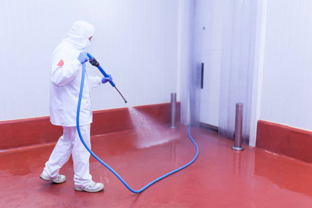 Best Soft Washing  in Pine Ridge, FL