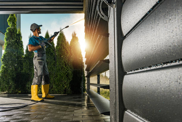 Best Driveway Pressure Washing  in Pine Ridge, FL